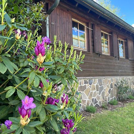 Blockhuette Engeln-Eifel Villa Kempenich Kültér fotó