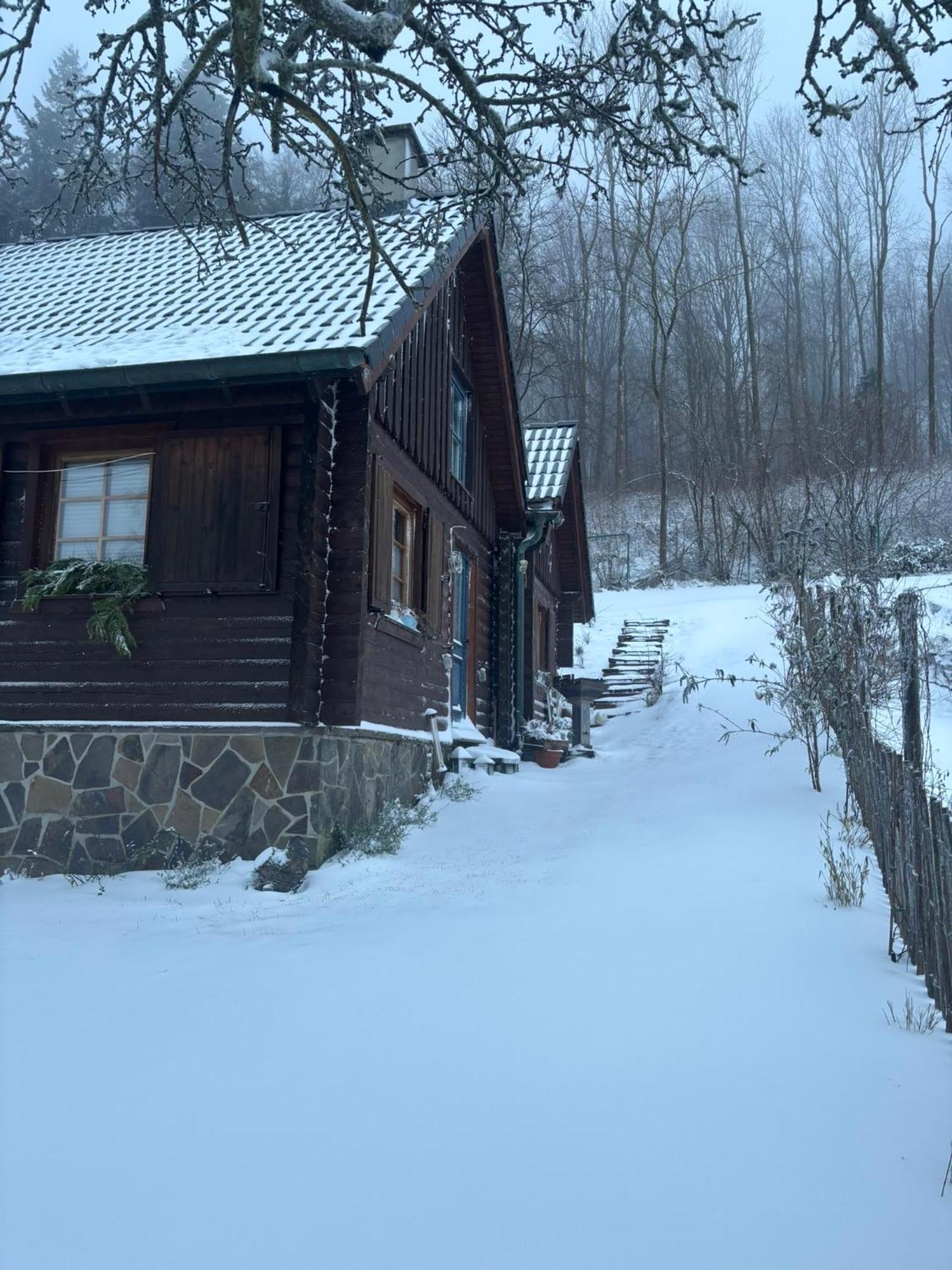 Blockhuette Engeln-Eifel Villa Kempenich Kültér fotó