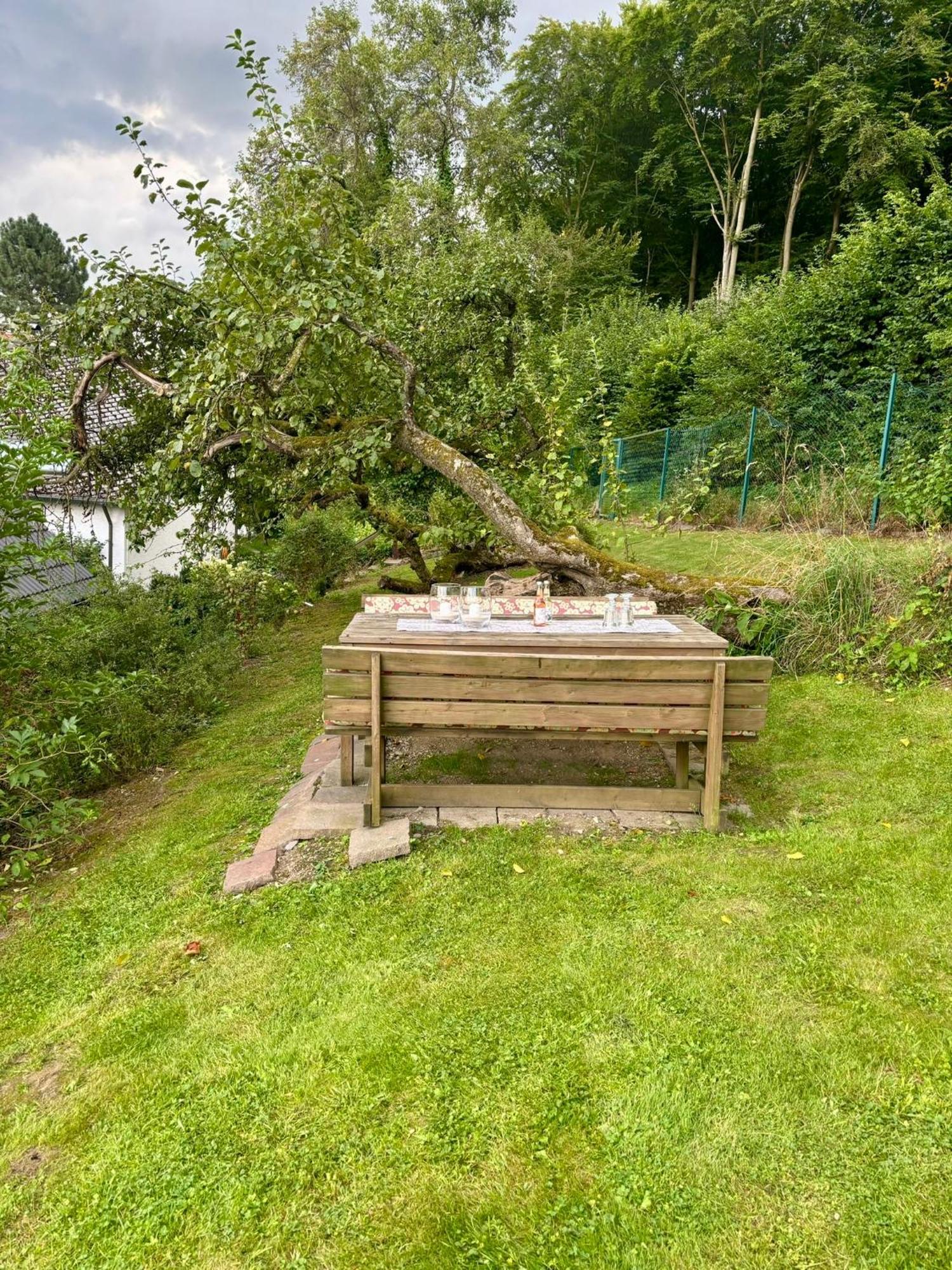 Blockhuette Engeln-Eifel Villa Kempenich Kültér fotó